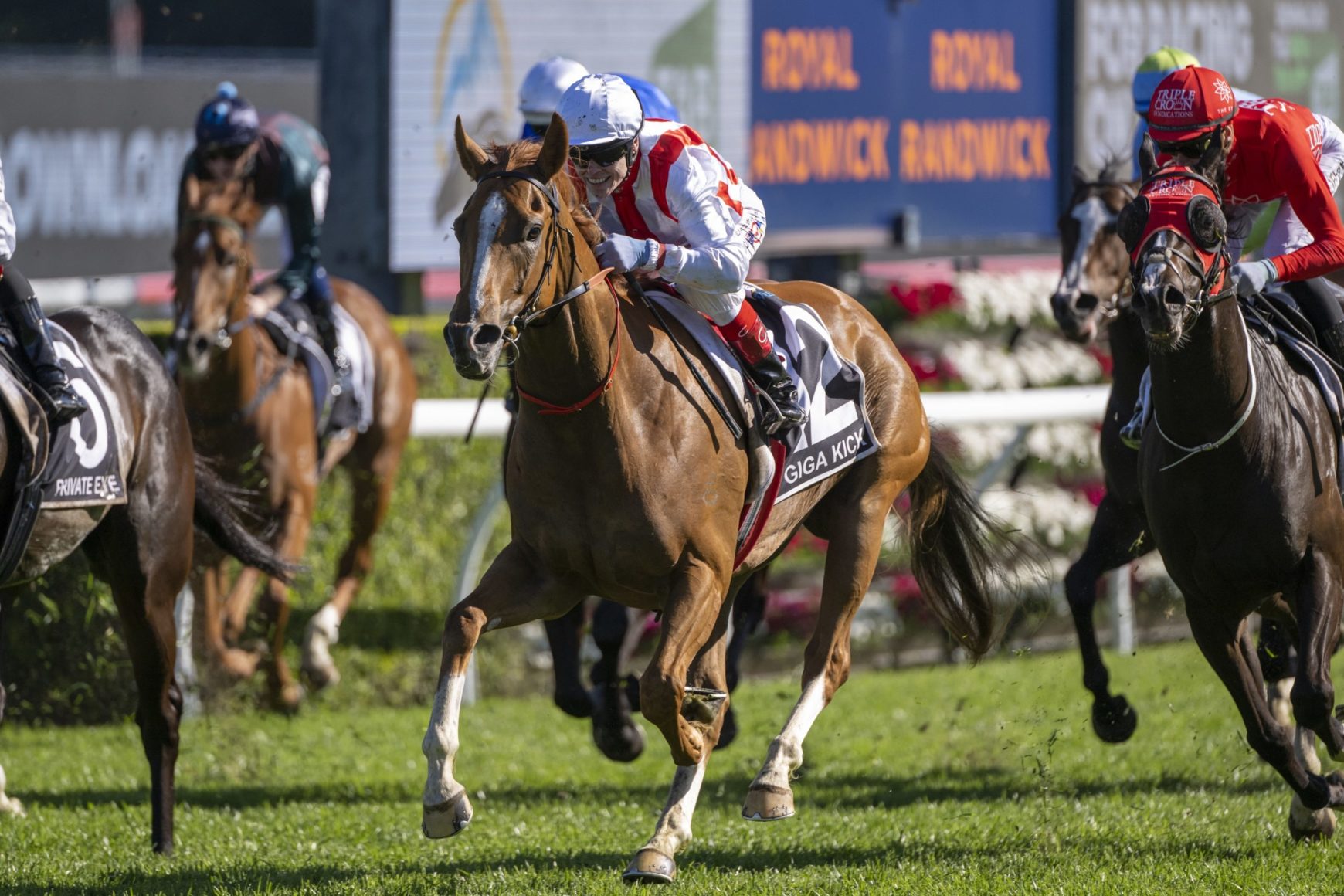 FREE: Randwick Selections: Saturday 7th September Image