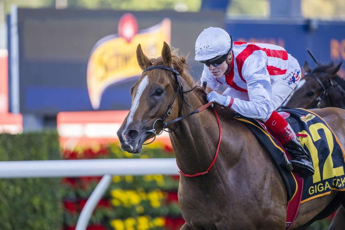 Saturday Same Race Multi: Rosehill 23rd Sept Image