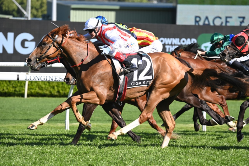 FREE: Randwick Tip Sheet & Staking Plan: Saturday 15th April Image