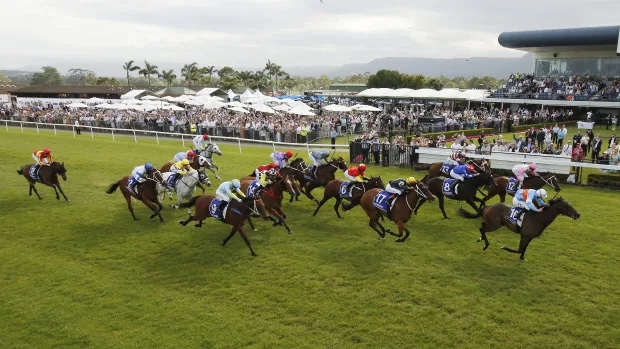 DISRESPECTFUL: The Gong Puts Racing On Hold Image