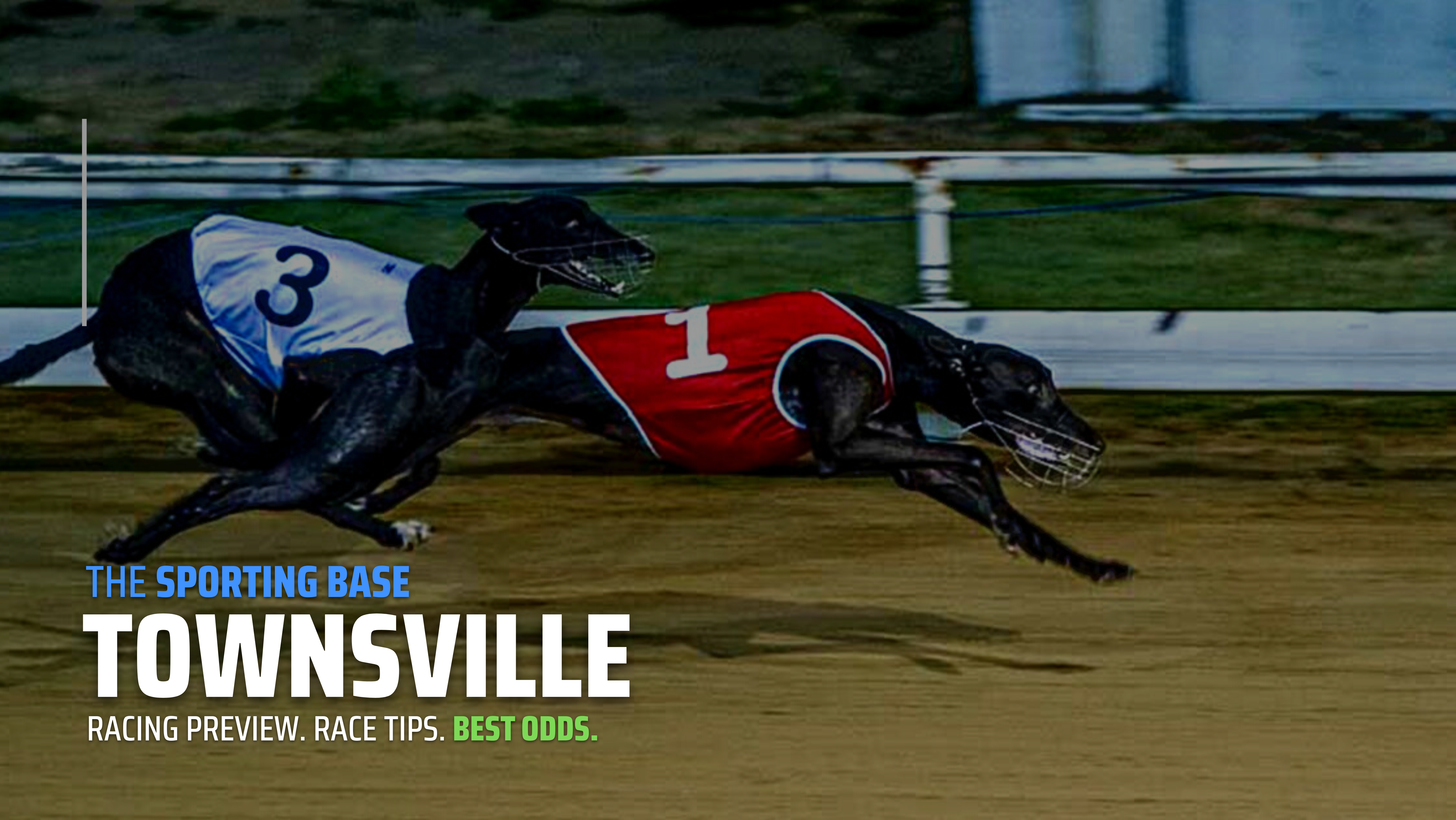 FREE: Townsville Greyhounds Tip Sheet & Staking Plan: Tuesday 22nd November Image