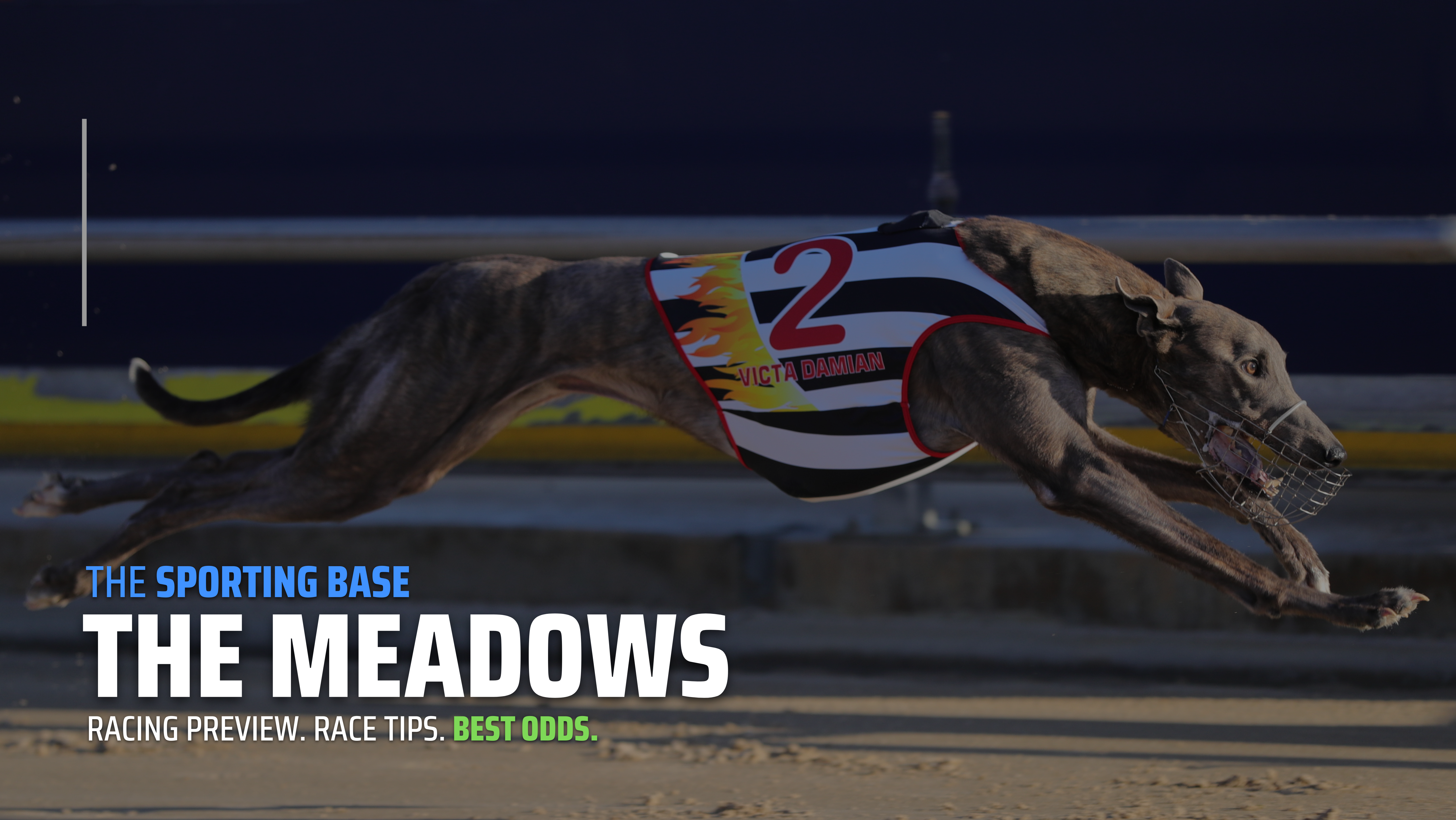FREE: The Meadows Greyhounds Tip Sheet & Staking Plan 18th February Image