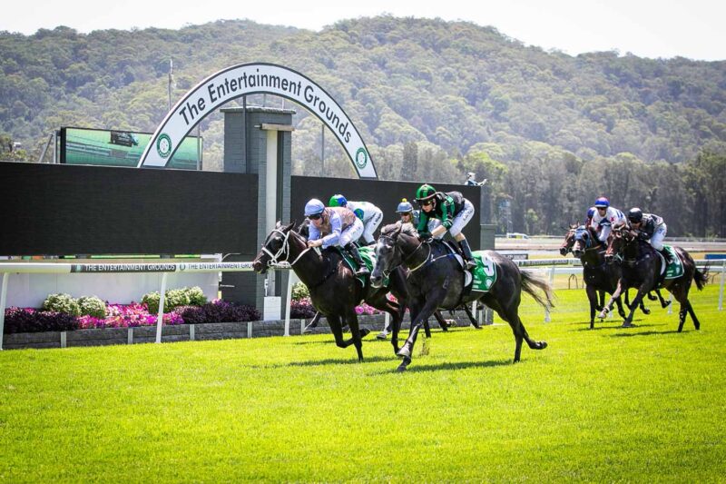 FREE: Gosford Thursday 23rd June - Our Picks Image