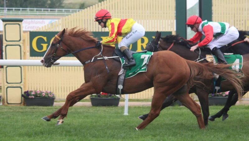 FREE: NSW Provincial & Country Service - Goulburn 9/8 Image