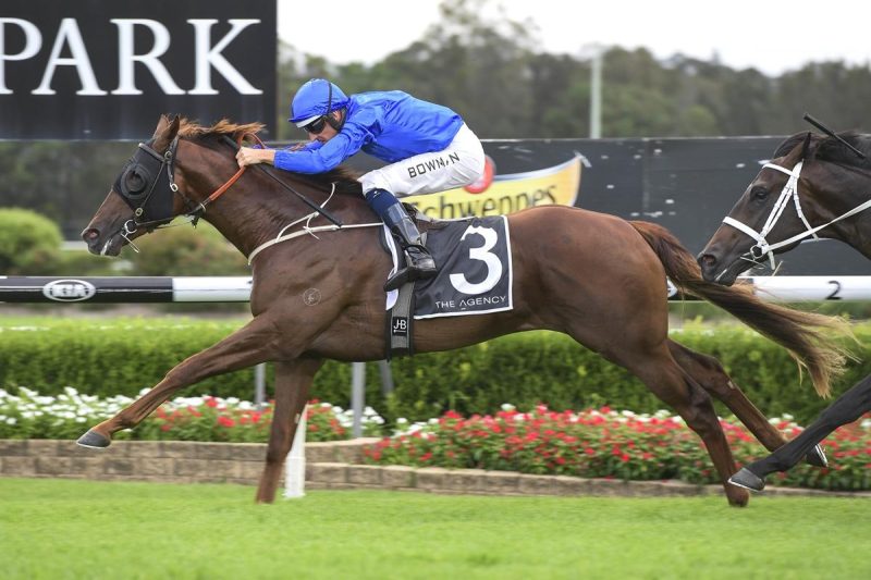 GRAVINA SET TO BOUNCE BACK Image