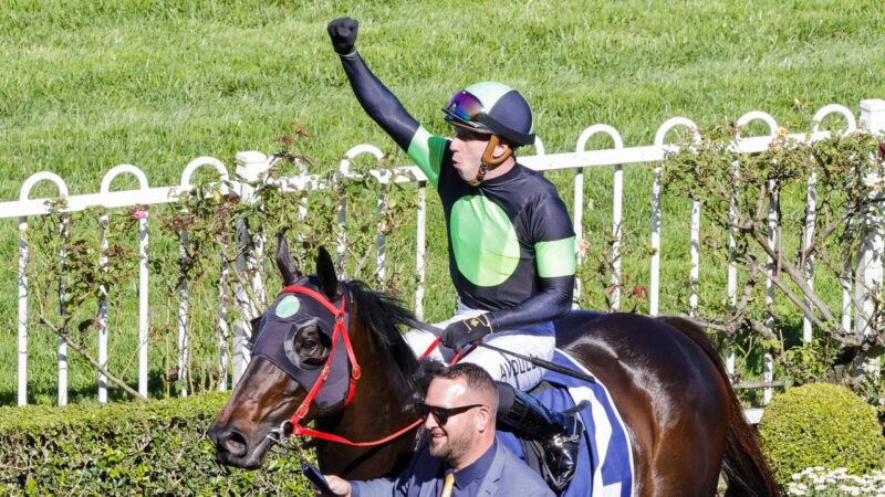 Black Book: Horses You Must Follow From Rosehill 29/10 Image