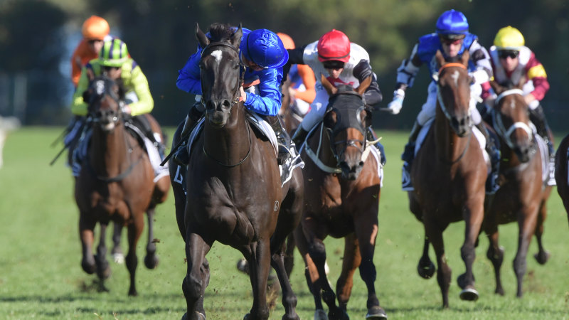 Warwick Farm Tip Sheet & Staking Plan: Wednesday 13th January Image