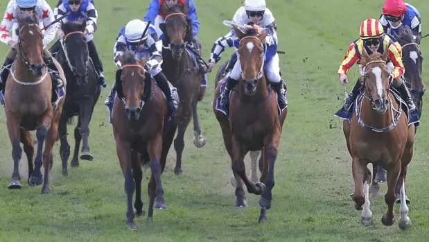 Randwick Review: Edmonds Canny Plan Pays Off Image