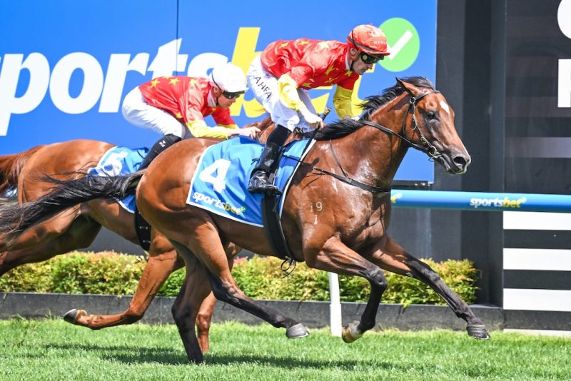 FREE: Caulfield Tip Sheet & Staking Plan: Saturday 1st June Image