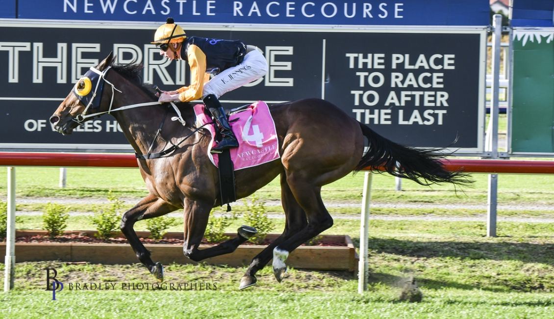 FREE: Kembla Grange Tip Sheet & Staking Plan: Saturday 19th November Image