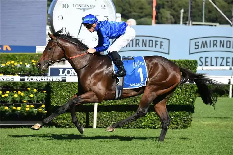 FREE: Randwick Tip Sheet & Staking Plan: Saturday 11th February Image