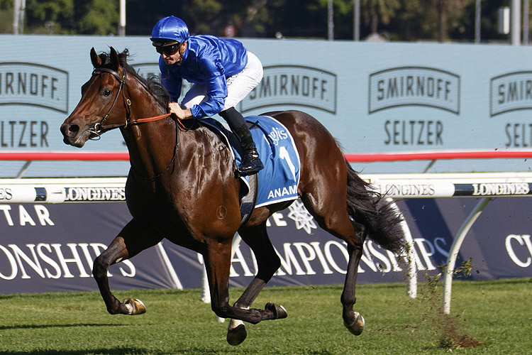 FREE: Randwick Saturday 20th August - Our Selections Image