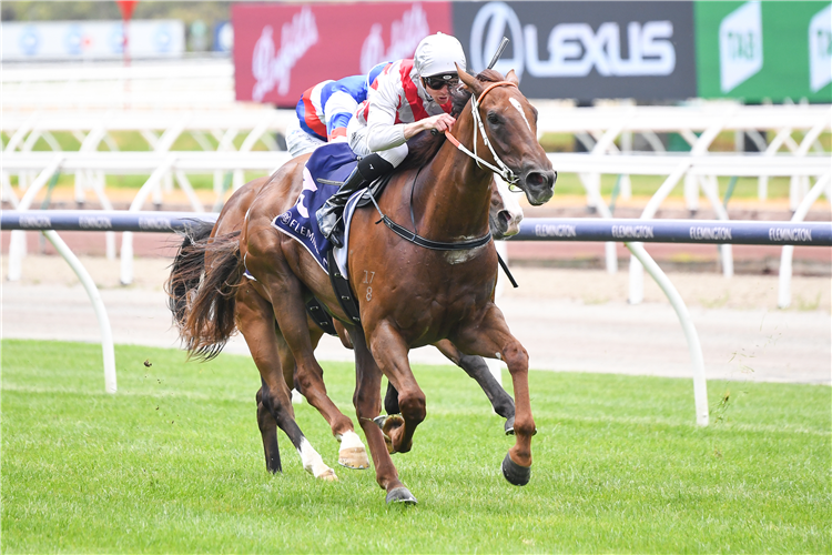 The Forgive, Forget and Follow Files: 2/1/2022 Image