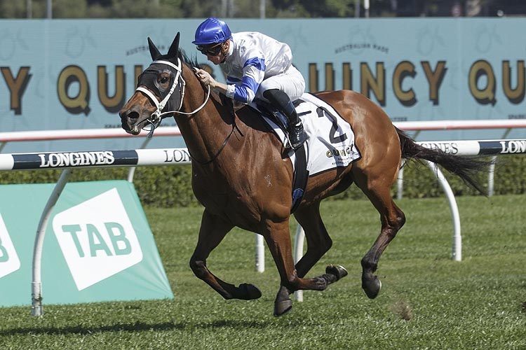 The Forgive, Forget and Follow Files 30/1 Image