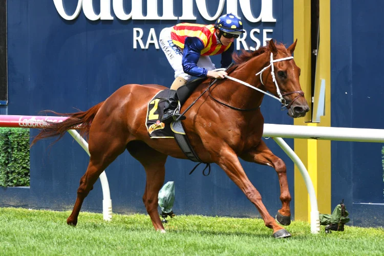 FREE: Randwick Saturday 17th September - Our Selections Image