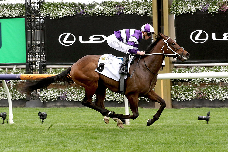 FREE: Flemington Tip Sheet & Staking Plan: Saturday 2nd March Image