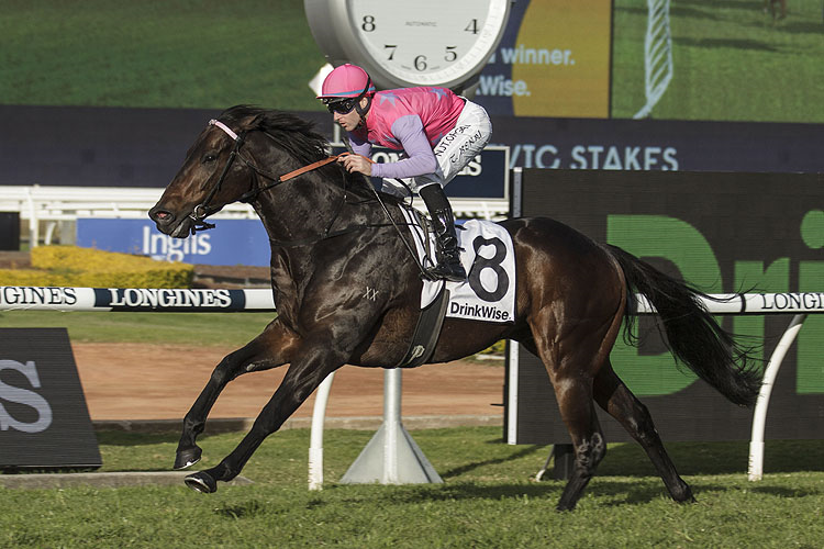 Horses You Must Follow From Randwick 17th October Image