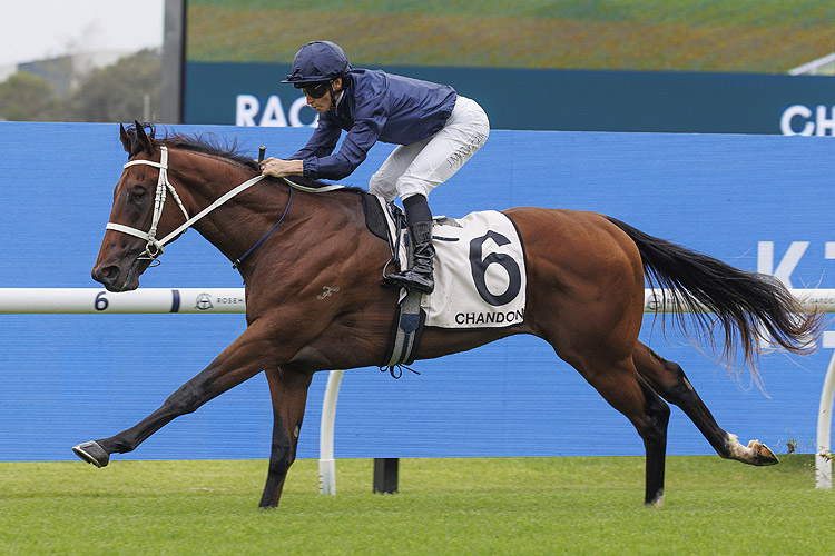 FREE: Rosehill Tip Sheet & Staking Plan: Saturday 22nd February Image