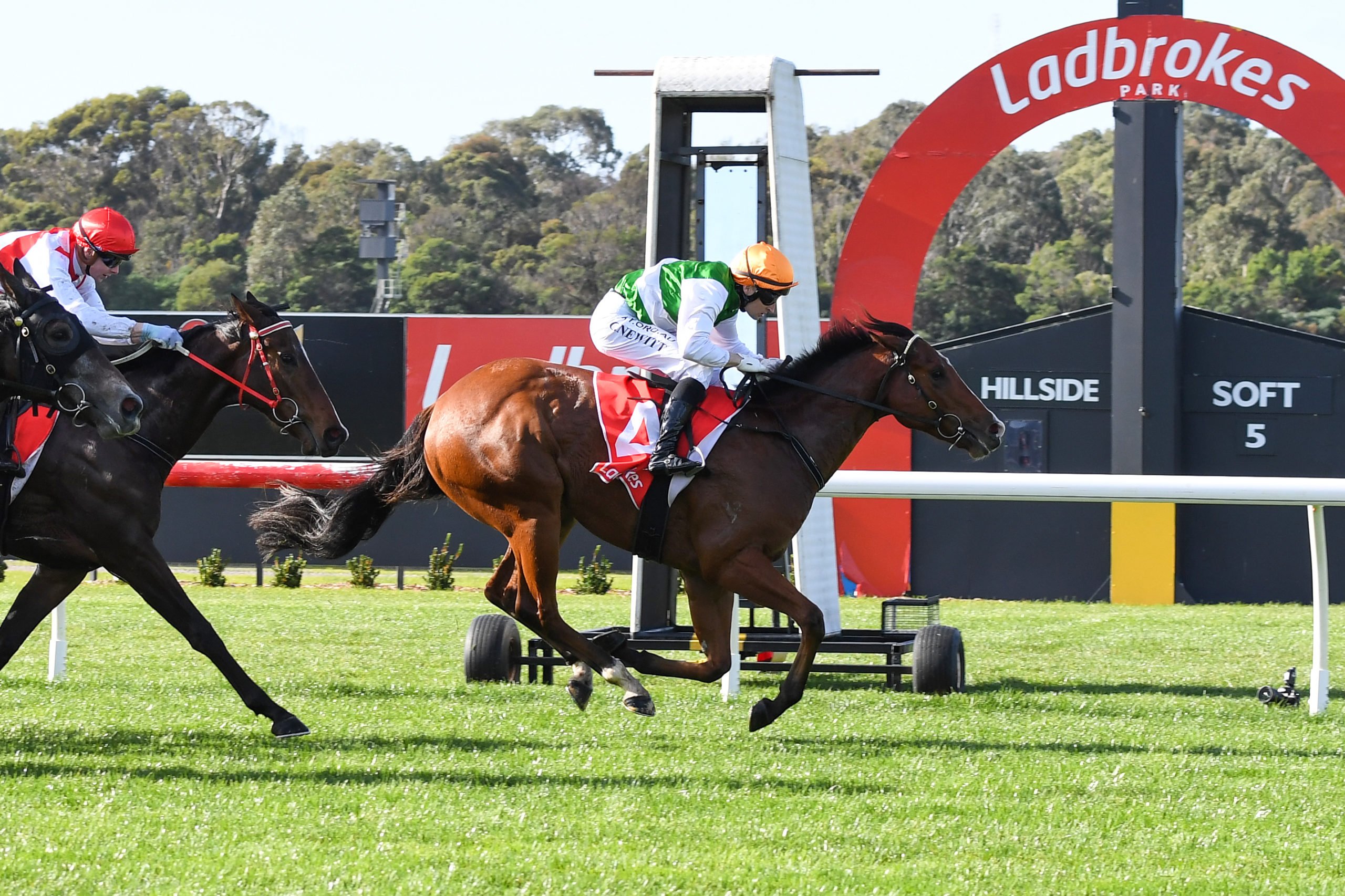 Sandown Hillside Tip Sheet & Staking Plan: Wednesday 3rd February Image