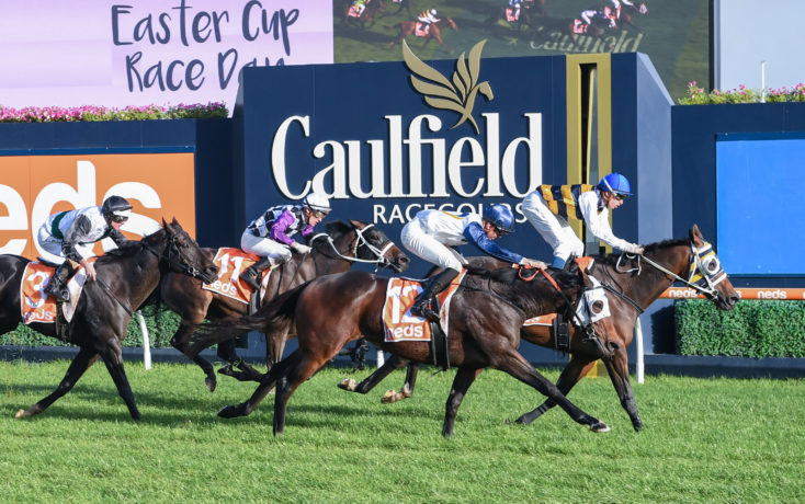 Caulfield Tip Sheet & Staking Plan: Saturday 29th May Image