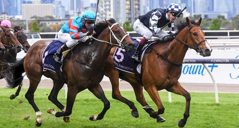 Our Black Book: Horses You Must Follow From Flemington 3/8 Image