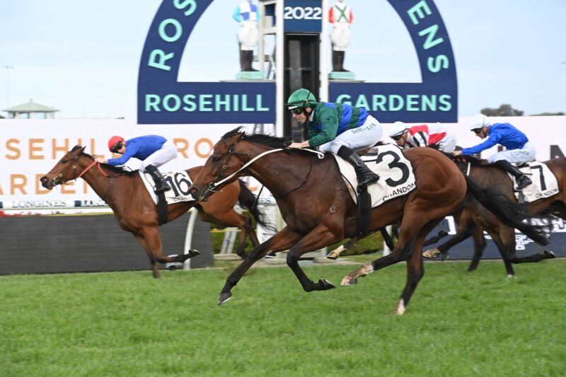 Rosehill Review: Where To For Jacquinot? Image