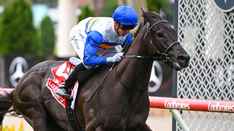 Moonee Valley Review: No Puzzle As Jigsaw's A Star Image