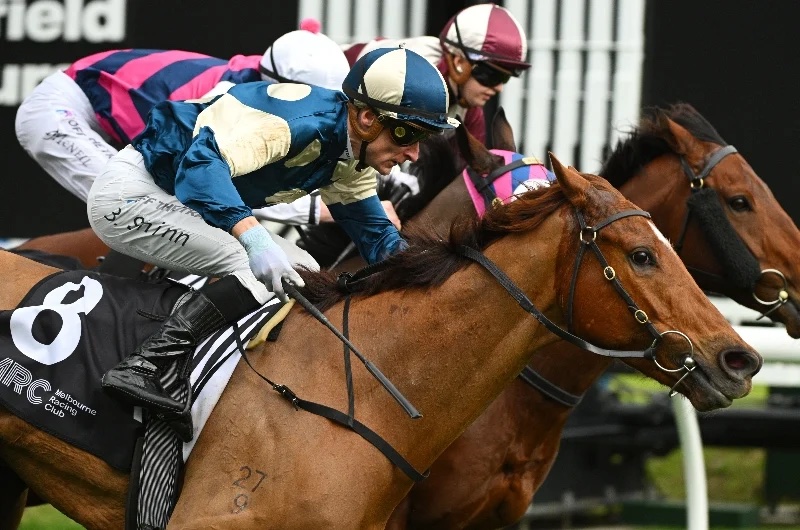 MAHER’S POWERFUL ASSAULT ON CLARKE Image