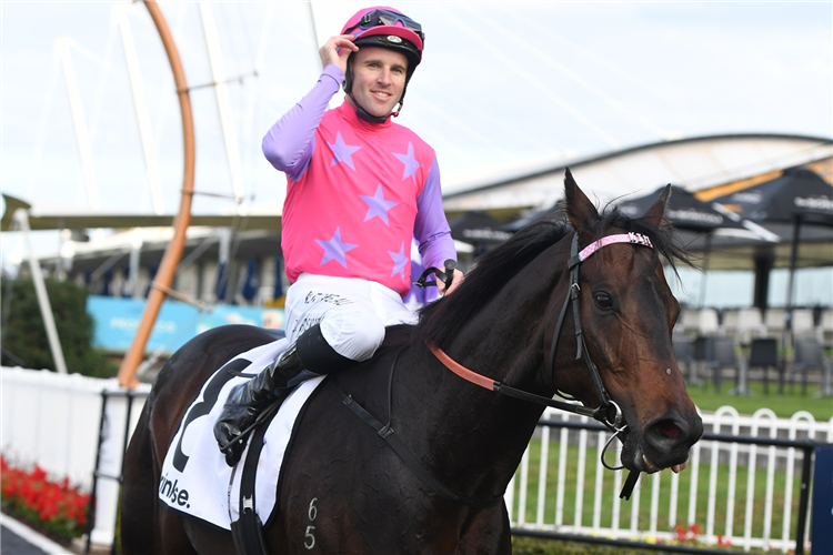 Berry ready to launch into Spring after “best season by far” Image