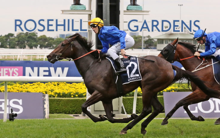FREE: Rosehill Tip Sheet & Staking Plan: Saturday 24th September Image