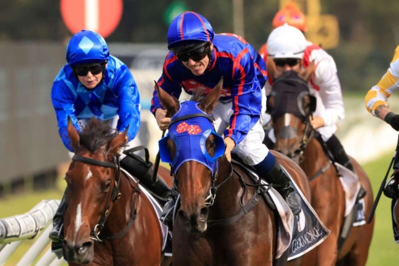 Rosehill Tip Sheet & Staking Plan: Saturday 3rd April Image