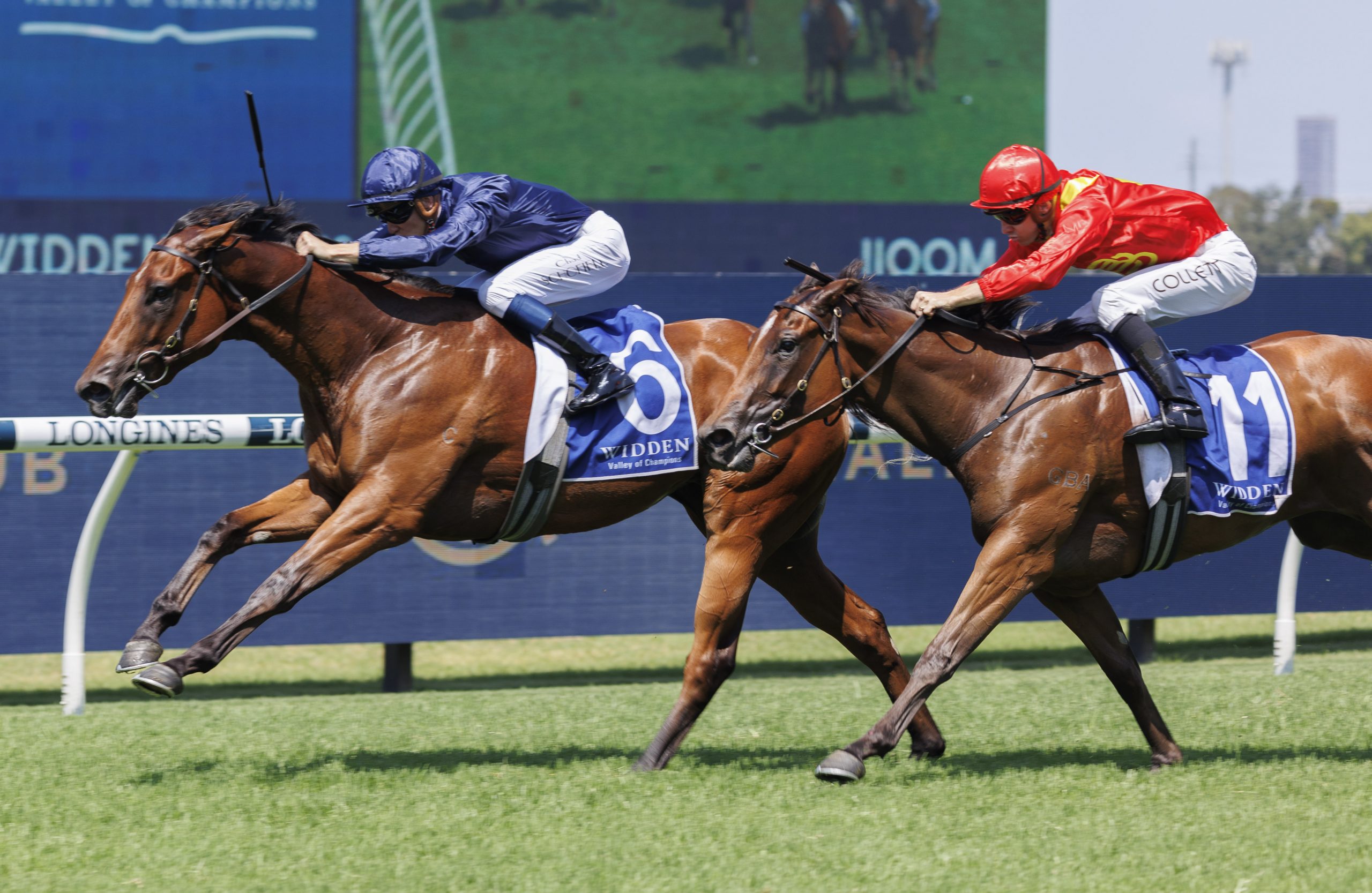 FREE: Randwick Tip Sheet & Staking Plan: Saturday 17th February Image