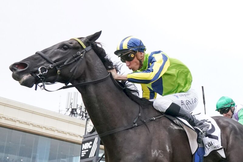 Pakenham Preview: Moroney Hoping To Continue His Spring Blast Image