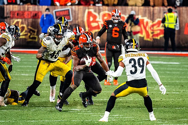 NFL Fantasy Preview: Pittsburgh Steelers Image