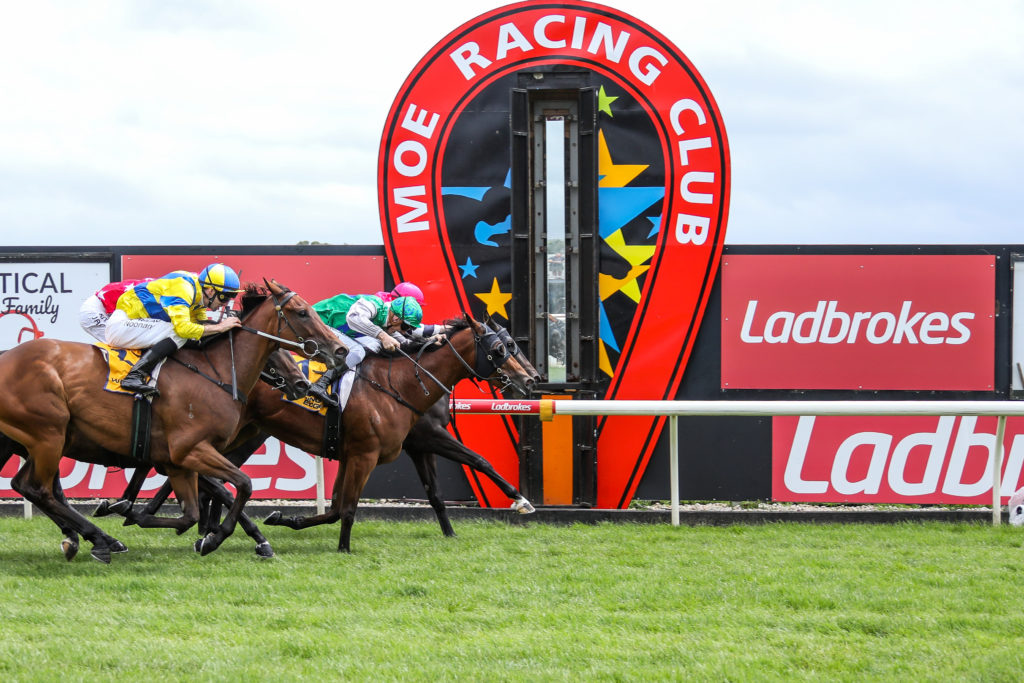 FREE: Moe Tip Sheet & Staking Plan: Wednesday 8th February Image