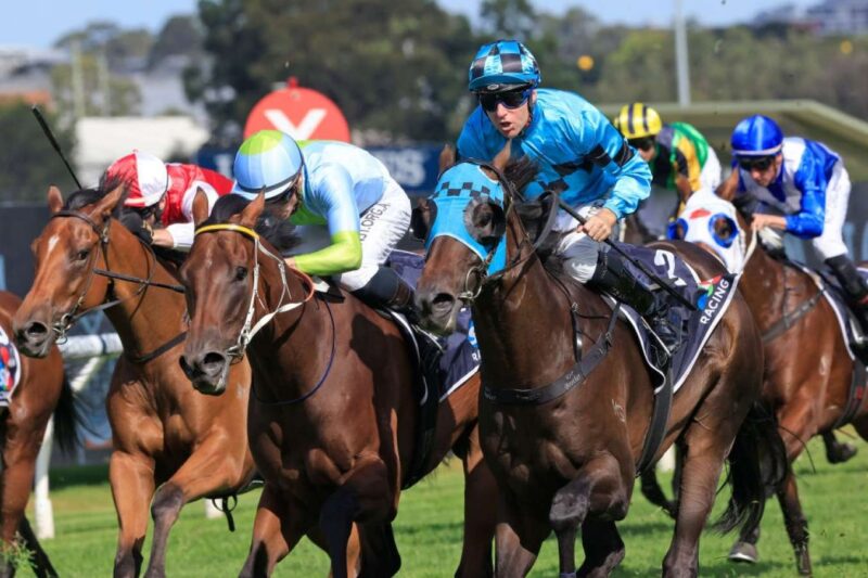 Randwick Kensington Tip Sheet & Staking Plan: Wednesday 19th May Image