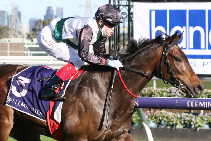 Caulfield Review: Mr Brightside Goes To A New Level Image