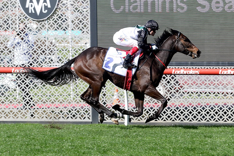 The Valley Review: Mr Brightside Puts In Another Killer Performance Image