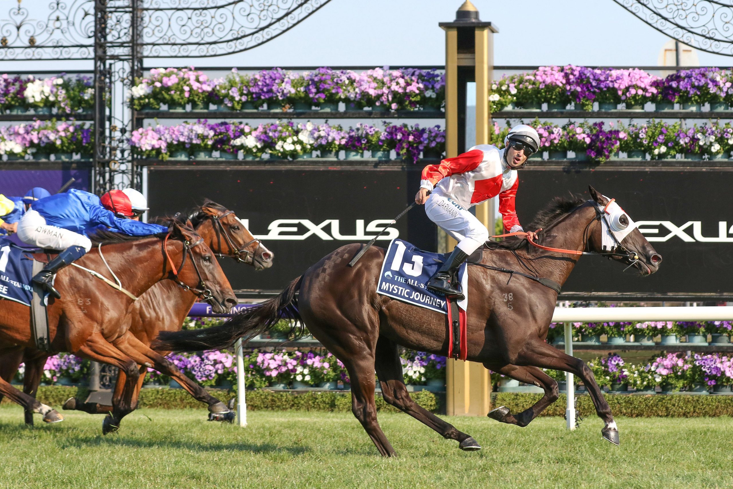 Journey to the Group 1 Empire Rose  Image