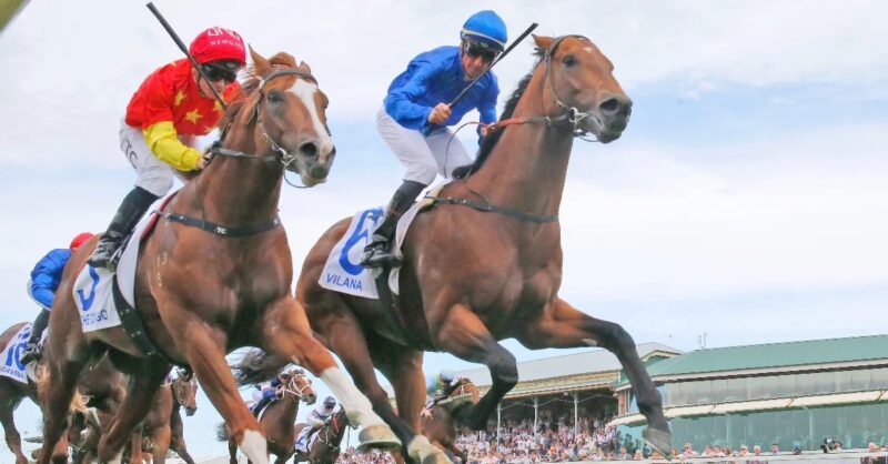 Black Book: Horses You Must Follow From Newcastle 12/11 Image