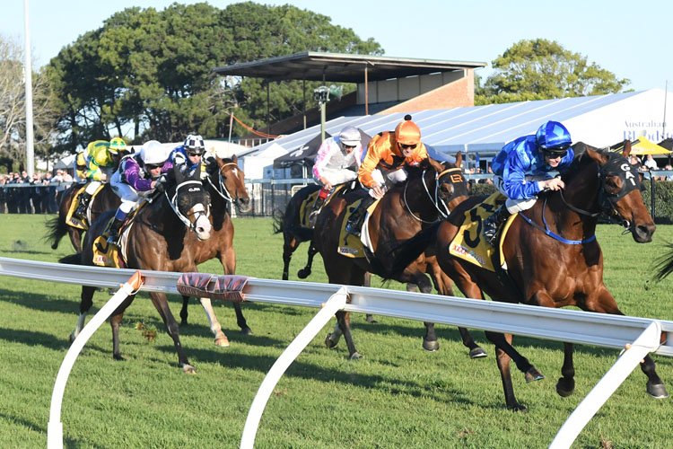 THE EDGE: NSW Provincial & Country Service - Saturday 4/9 Image