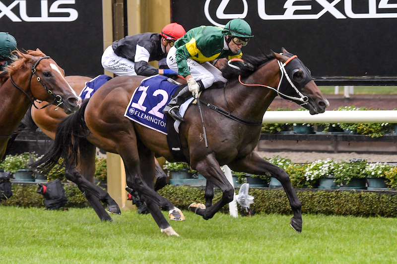 FREE: Flemington Tip Sheet & Staking Plan: Saturday 12th March Image