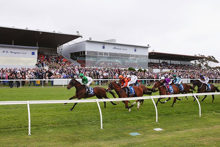 FREE: Geelong Tip Sheet & Staking Plan: Wednesday 27th November Image