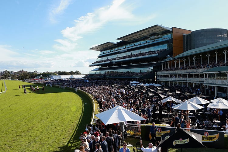 FREE: Randwick Tip Sheet & Staking Plan: Saturday 17th December Image