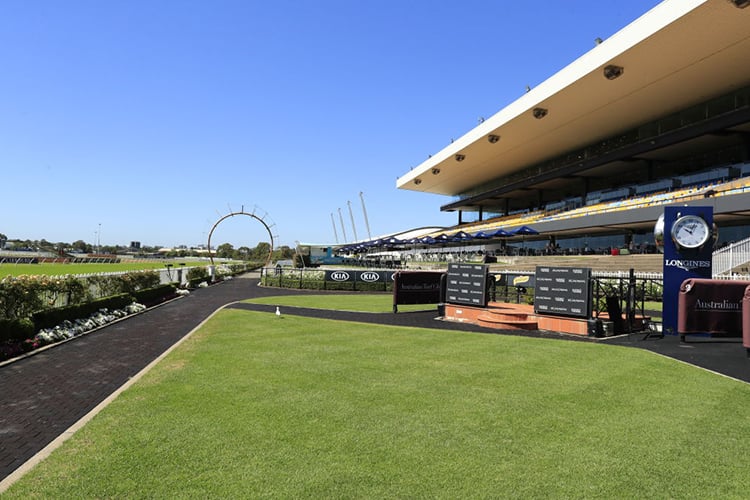 FREE: Rosehill Tip Sheet & Staking Plan: Saturday 29th June Image