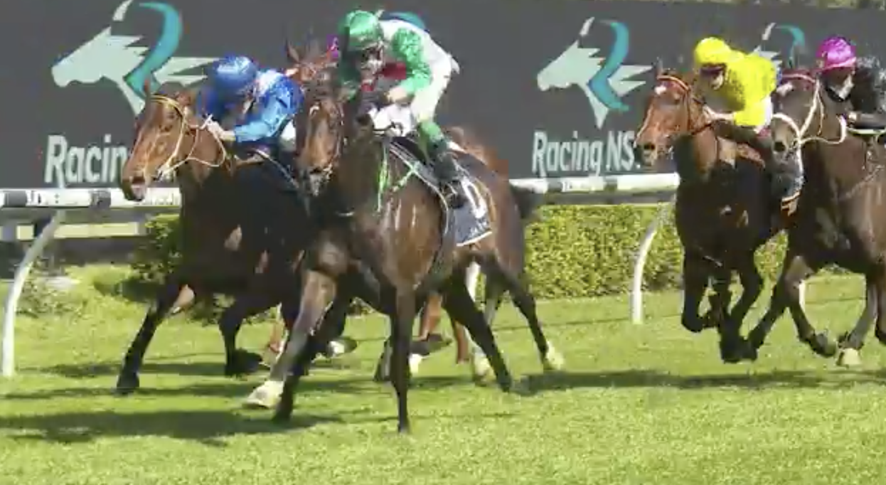 Randwick Tip Sheet & Staking Plan: Saturday 9th October Image