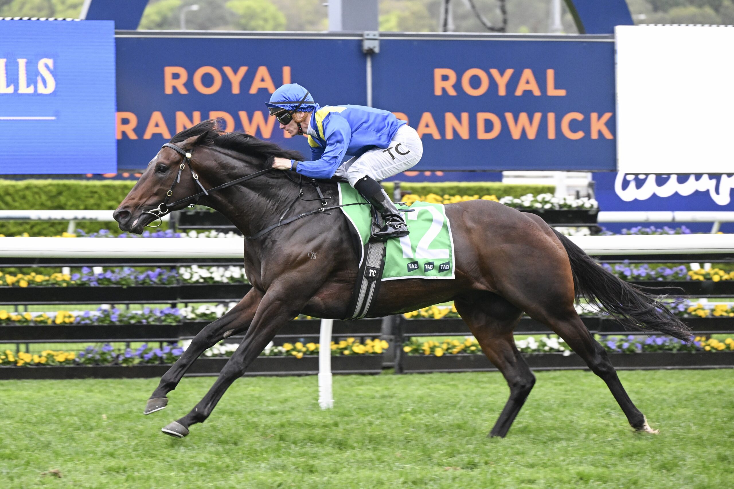 FREE: Randwick Selections: Saturday 5th October Image