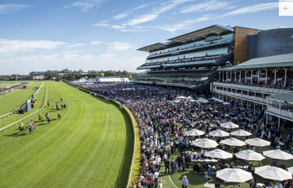 FREE: Randwick Tip Sheet & Staking Plan: Saturday 2nd April Image