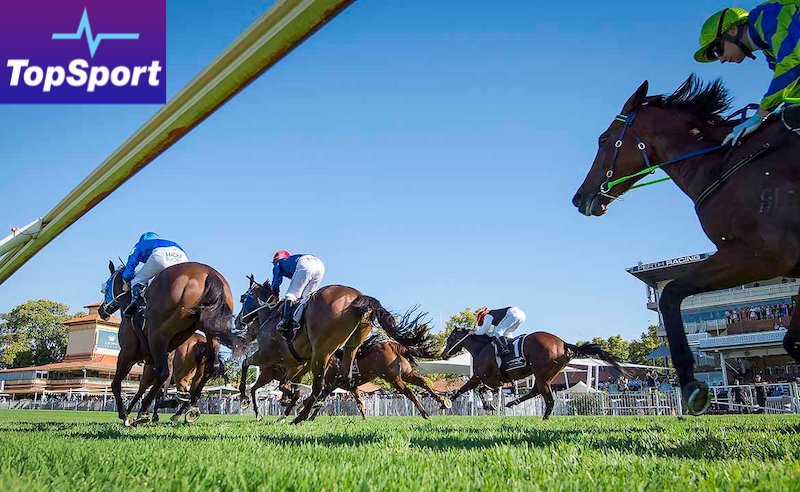 TopSport's Top 5 Market Movers For Saturday 19/11 Image