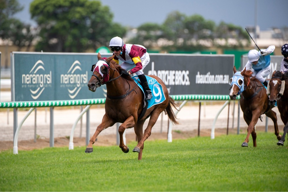 Swift Witness into favourite after 2-year-old Magic Millions barrier draw Image